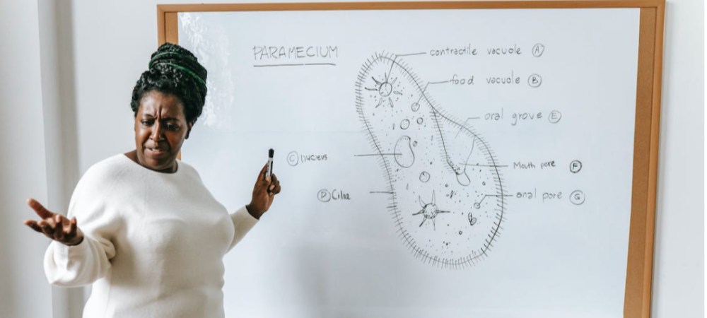 春节后即将迎来一个外教招聘高峰期 - 聘外网
