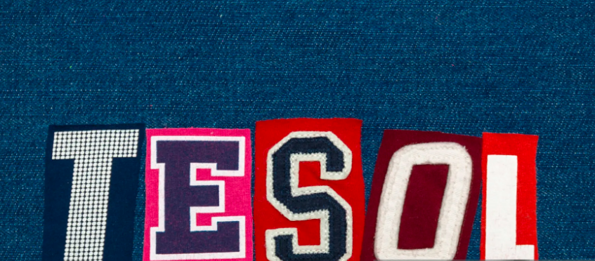 TESOL分类大揭秘：不同场景下的英语&ldquo;魔法教学&rdquo;-聘外网