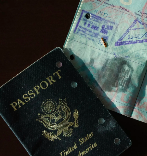 外籍人才与签证：一场不可或缺的&ldquo;爱的契约&rdquo;-聘外网