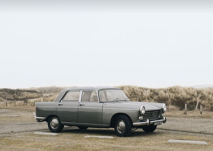 老外为啥对广东爱得深沉？-聘外网