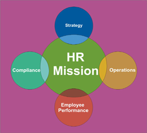 长三角外教俱乐部