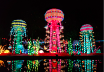 外籍友人眼中的中国节日：欢乐、温情与文化深度游