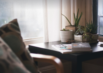 外籍教师就业为什么主要选择大城市