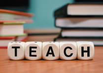 外教中介机构用途一般是什么？