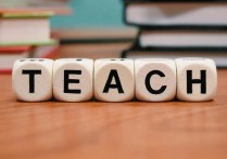 公立学校招老外有哪些优势？