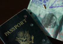 外籍人才与签证：一场不可或缺的“爱的契约”