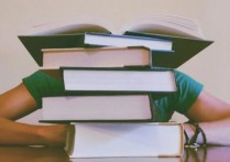 越优秀的外教薪资水平会越高