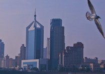 青岛招聘外教那么多的原因？