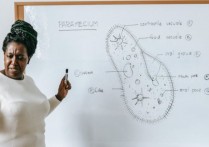 春节后即将迎来一个外教招聘高峰期